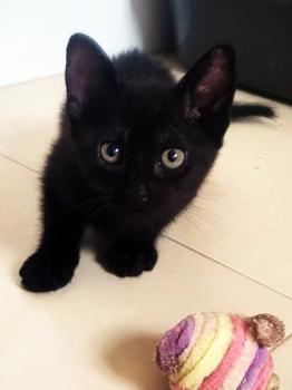 Bild von Tiana