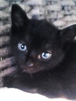 Bild von Tiana