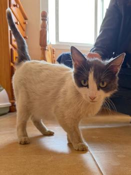 Freya Bild von Freya