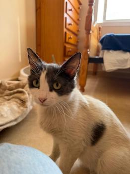 Freya Bild von Freya