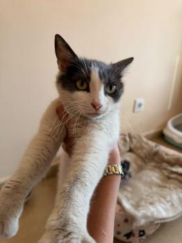 Freya Bild von Freya