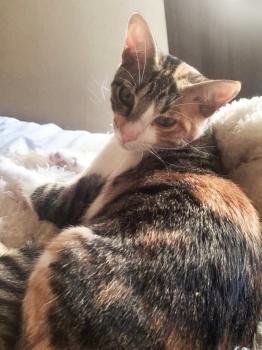 Thelma Bild von Thelma