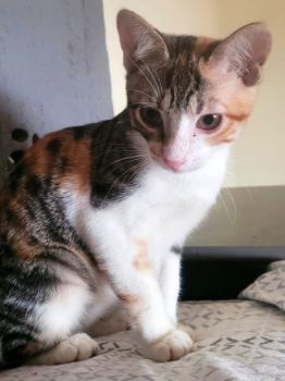 Thelma Bild von Thelma