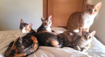 Thelma Bild von Thelma