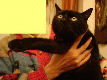 Benito Bild von Benito