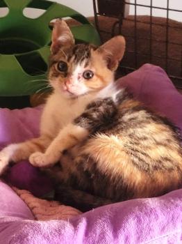 Thelma Bild von Thelma