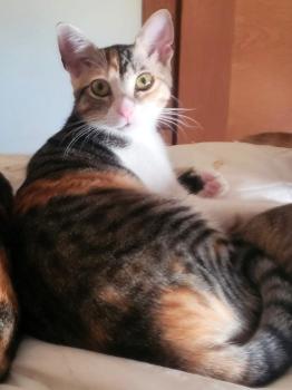 Bild von Maya