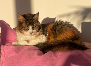 Bild von Olga