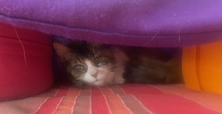 Bild von Olga