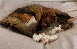 Bild von Olga
