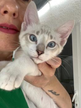Bild von Amy