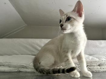 Bild von Amy