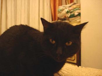 Benito Bild von Benito