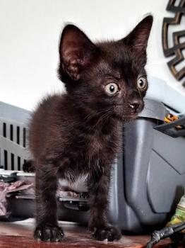 Coco Bild von Coco