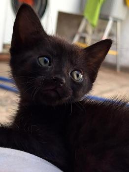 Coco Bild von Coco