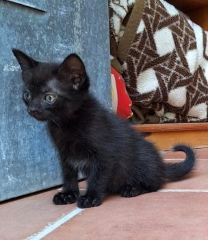 Coco Bild von Coco