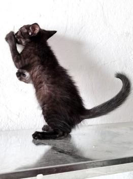 Coco Bild von Coco