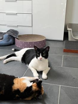 Bild von Kasper