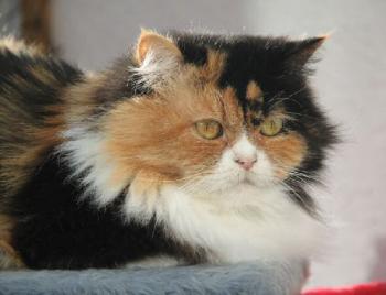 Rufina Bild von Rufina