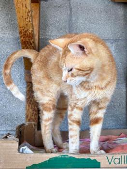 Grunon Bild von Grunon