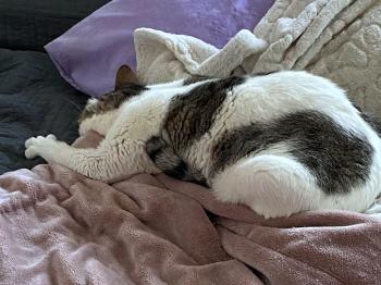 Bild von Gus