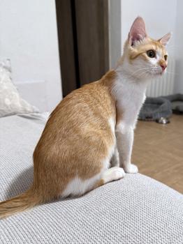 Ayla Bild von Ayla