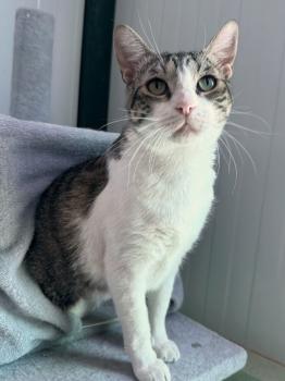 Hugo Bild von Hugo