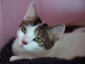Mascha Bild von Mascha