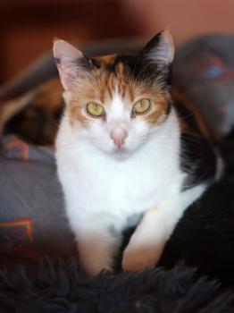 Nina Bild von Nina