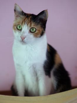 Nina Bild von Nina