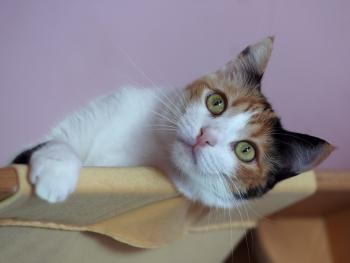 Nina Bild von Nina