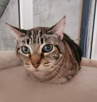 Babette Bild von Babette