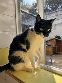 Pepito Bild von Pepito