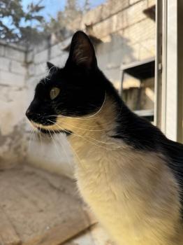 Pepito Bild von Pepito