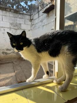 Pepito Bild von Pepito