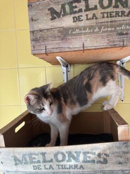Bild von Glenda