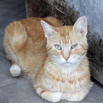 Grunon Bild von Grunon