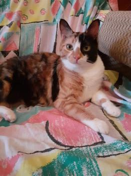 Susan Bild von Susan