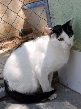 Coby Bild von Coby