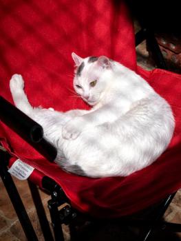 Bild von Mila