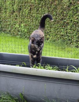 Bild von Meiga