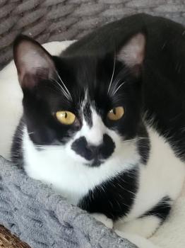 Bild von Zoe