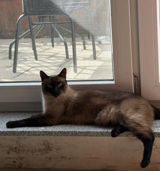 Hansel Bild von Hansel