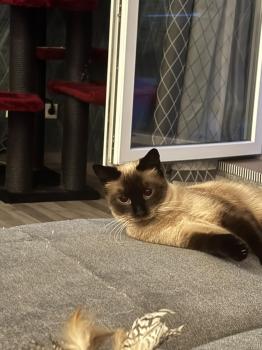 Gretel Bild von Gretel