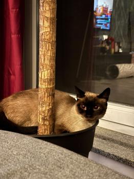 Gretel Bild von Gretel