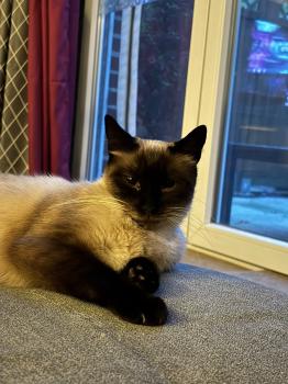 Gretel Bild von Gretel