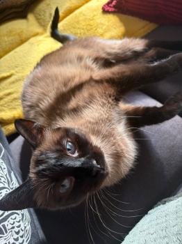Gretel Bild von Gretel