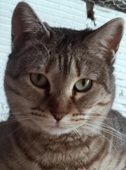 Mishi Bild von Mishi