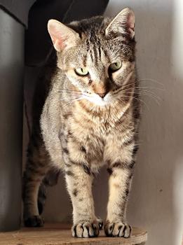 Mishi Bild von Mishi