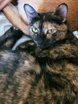 Bild von Dorothy